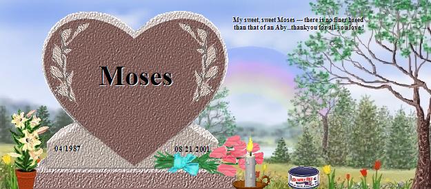Moses's Rainbow Bridge Pet Loss Memorial Residency Image