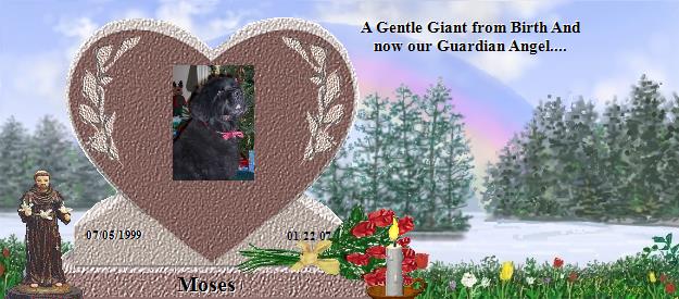 Moses's Rainbow Bridge Pet Loss Memorial Residency Image