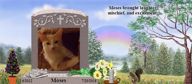 Moses's Rainbow Bridge Pet Loss Memorial Residency Image