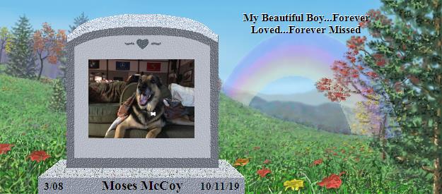 Moses McCoy's Rainbow Bridge Pet Loss Memorial Residency Image
