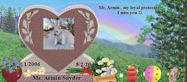 Mr. Armin Snyder's Rainbow Bridge Pet Loss Memorial Residency Image
