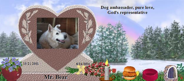 Mr. Bear's Rainbow Bridge Pet Loss Memorial Residency Image