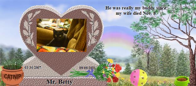 Mr. Betty's Rainbow Bridge Pet Loss Memorial Residency Image