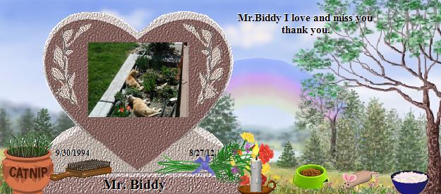 Mr. Biddy's Rainbow Bridge Pet Loss Memorial Residency Image