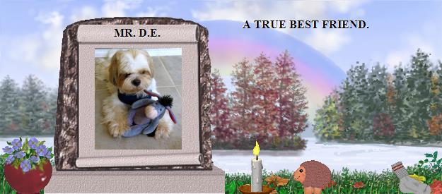 MR. D.E.'s Rainbow Bridge Pet Loss Memorial Residency Image