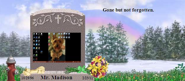 Mr. Madison's Rainbow Bridge Pet Loss Memorial Residency Image