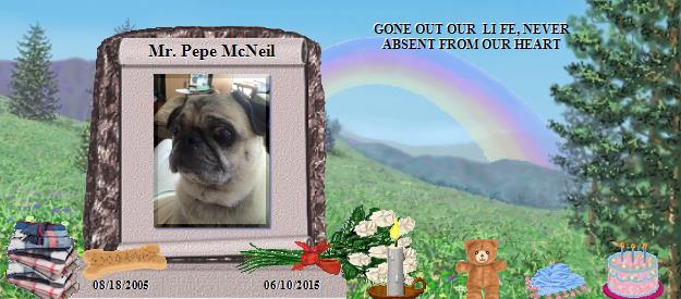 Mr. Pepe McNeil's Rainbow Bridge Pet Loss Memorial Residency Image