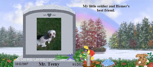 Mr. Teeny's Rainbow Bridge Pet Loss Memorial Residency Image