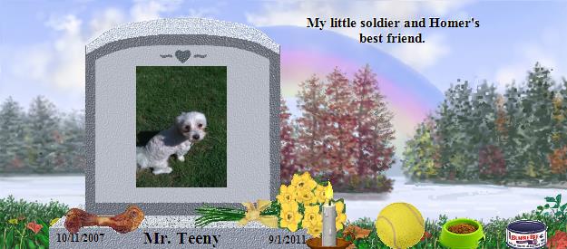 Mr. Teeny's Rainbow Bridge Pet Loss Memorial Residency Image
