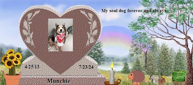 Munchie's Rainbow Bridge Pet Loss Memorial Residency Image