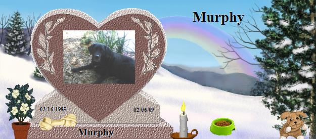 Murphy's Rainbow Bridge Pet Loss Memorial Residency Image