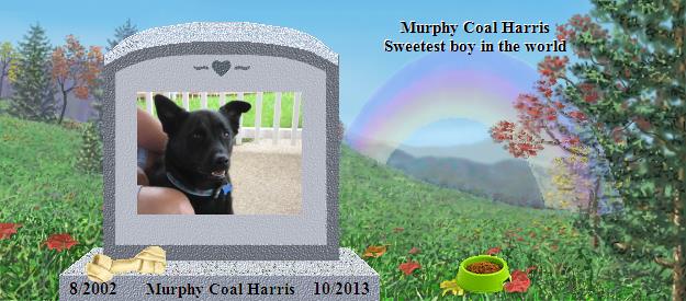 Murphy Coal Harris's Rainbow Bridge Pet Loss Memorial Residency Image