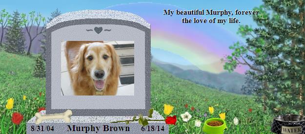 Murphy Brown's Rainbow Bridge Pet Loss Memorial Residency Image