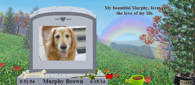 Murphy Brown's Rainbow Bridge Pet Loss Memorial Residency Image