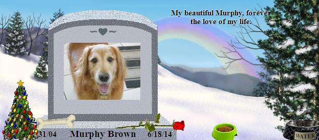 Murphy Brown's Rainbow Bridge Pet Loss Memorial Residency Image