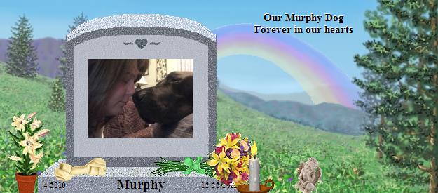 Murphy's Rainbow Bridge Pet Loss Memorial Residency Image