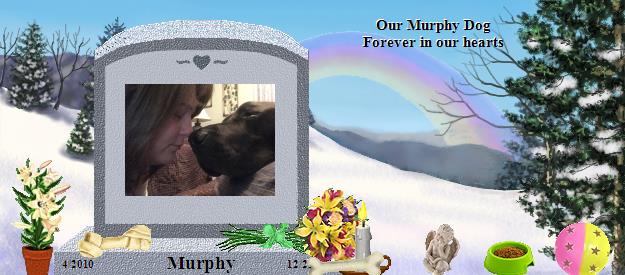 Murphy's Rainbow Bridge Pet Loss Memorial Residency Image