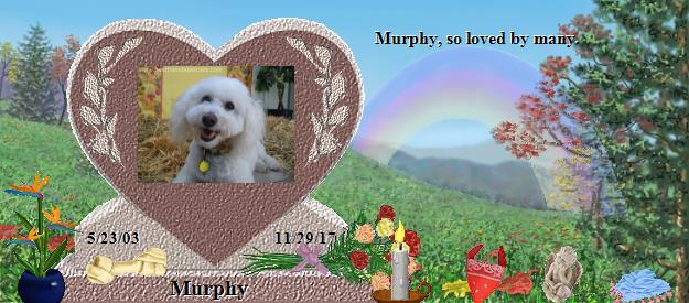 Murphy's Rainbow Bridge Pet Loss Memorial Residency Image