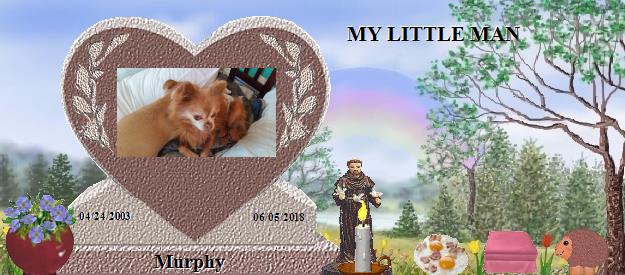 Murphy's Rainbow Bridge Pet Loss Memorial Residency Image