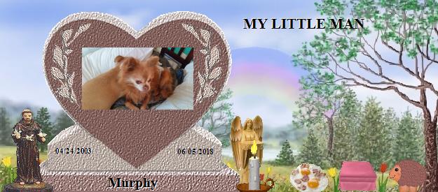Murphy's Rainbow Bridge Pet Loss Memorial Residency Image