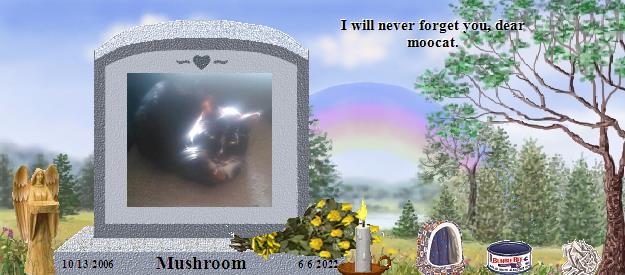 Mushroom's Rainbow Bridge Pet Loss Memorial Residency Image