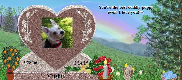 Mushu's Rainbow Bridge Pet Loss Memorial Residency Image