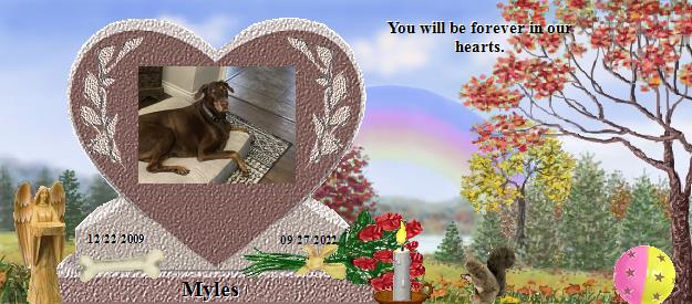 Myles's Rainbow Bridge Pet Loss Memorial Residency Image