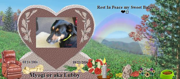Myogi or aka Lubby's Rainbow Bridge Pet Loss Memorial Residency Image