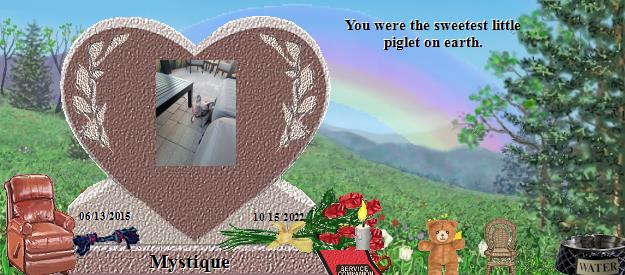 Mystique's Rainbow Bridge Pet Loss Memorial Residency Image