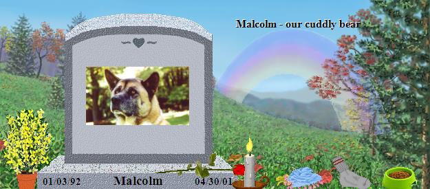 Malcolm's Rainbow Bridge Pet Loss Memorial Residency Image