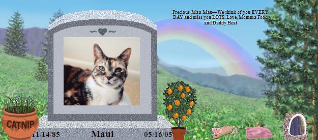 Maui's Rainbow Bridge Pet Loss Memorial Residency Image