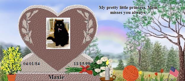 Maxie's Rainbow Bridge Pet Loss Memorial Residency Image