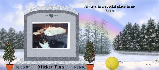 Mickey Finn's Rainbow Bridge Pet Loss Memorial Residency Image