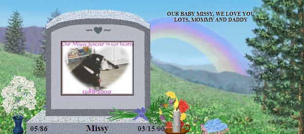 Missy's Rainbow Bridge Pet Loss Memorial Residency Image