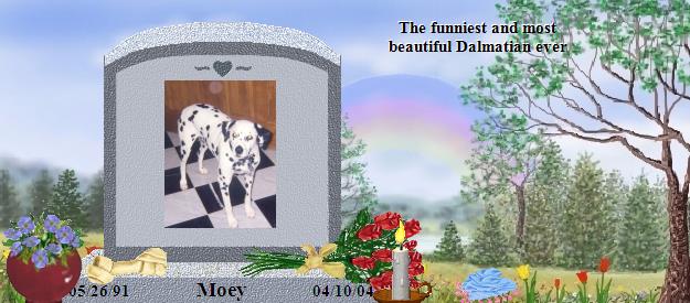 Moey's Rainbow Bridge Pet Loss Memorial Residency Image