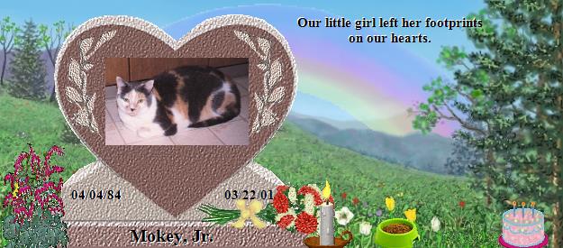 Mokey, Jr.'s Rainbow Bridge Pet Loss Memorial Residency Image