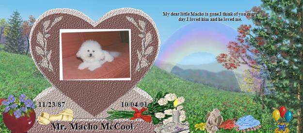 Mr. Macho McCool's Rainbow Bridge Pet Loss Memorial Residency Image