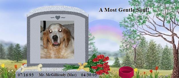 Mr. McGillicudy (Mac)'s Rainbow Bridge Pet Loss Memorial Residency Image