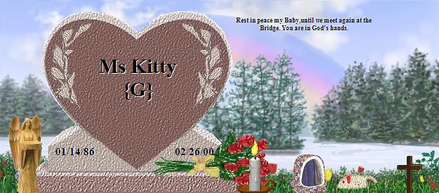 Ms Kitty {G}'s Rainbow Bridge Pet Loss Memorial Residency Image