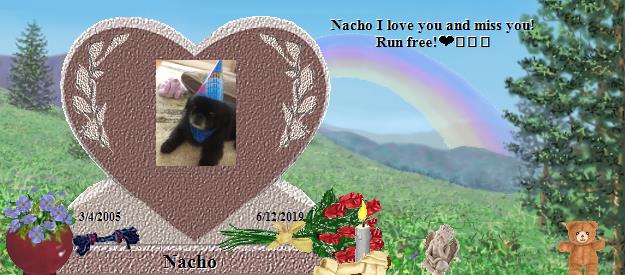 Nacho's Rainbow Bridge Pet Loss Memorial Residency Image