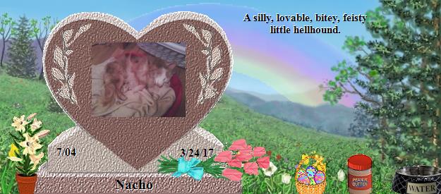 Nacho's Rainbow Bridge Pet Loss Memorial Residency Image