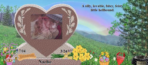 Nacho's Rainbow Bridge Pet Loss Memorial Residency Image