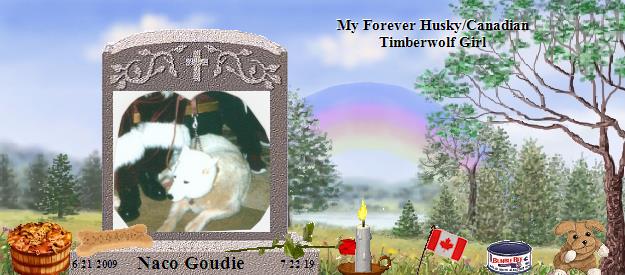 Naco Goudie's Rainbow Bridge Pet Loss Memorial Residency Image