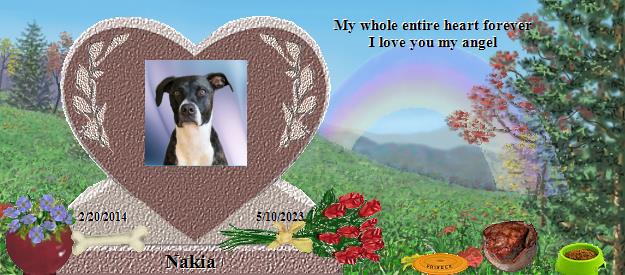 Nakia's Rainbow Bridge Pet Loss Memorial Residency Image