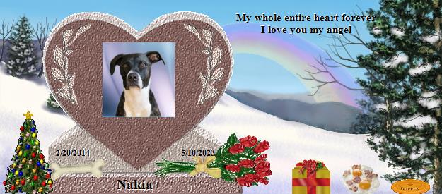 Nakia's Rainbow Bridge Pet Loss Memorial Residency Image