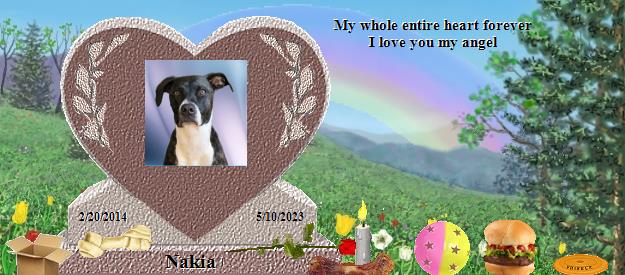 Nakia's Rainbow Bridge Pet Loss Memorial Residency Image