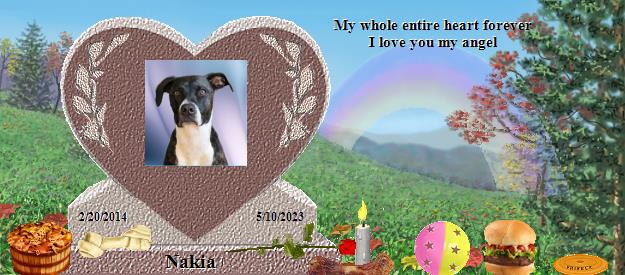 Nakia's Rainbow Bridge Pet Loss Memorial Residency Image