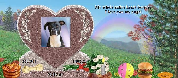 Nakia's Rainbow Bridge Pet Loss Memorial Residency Image