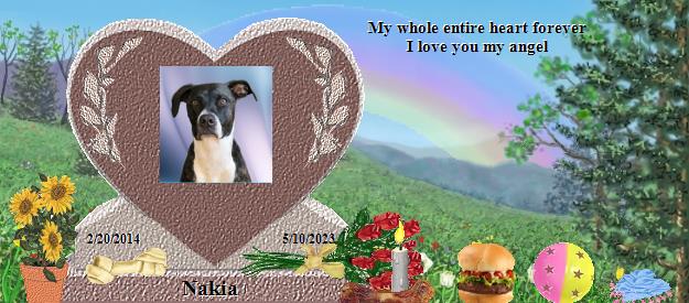 Nakia's Rainbow Bridge Pet Loss Memorial Residency Image