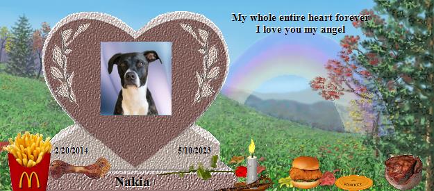 Nakia's Rainbow Bridge Pet Loss Memorial Residency Image